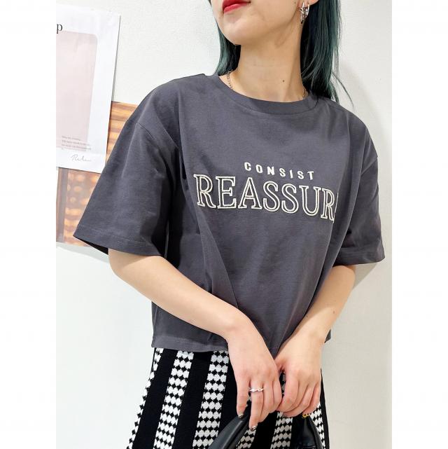 刺繍ロゴクロップドTシャツ